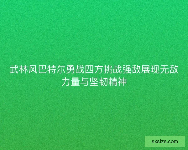 武林风巴特尔勇战四方挑战强敌展现无敌力量与坚韧精神